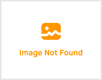 Indicator
