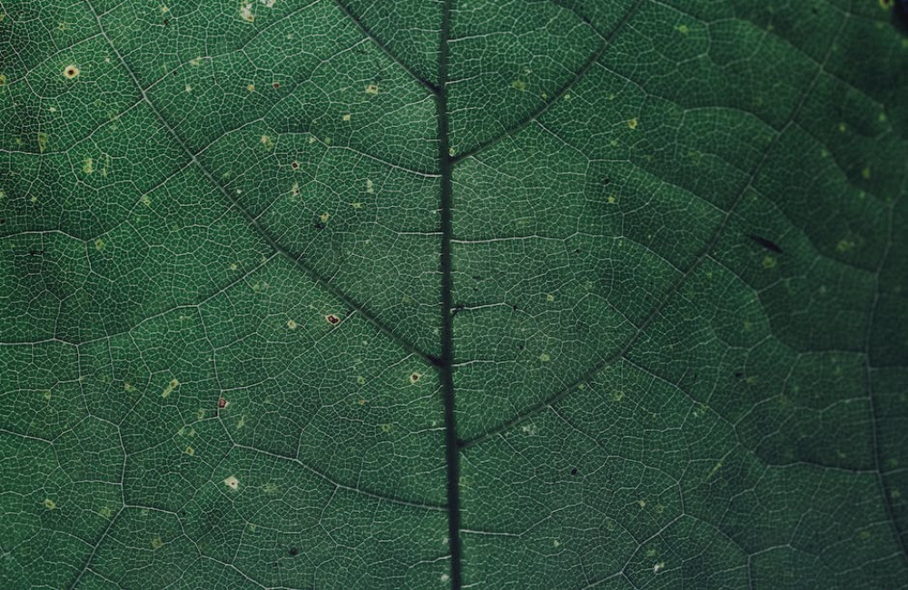 Hoe bouw je een waardevol netwerk op als ondernemer in België?